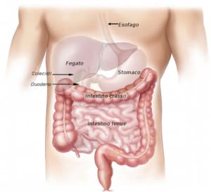 Sindrome del colon irritabile