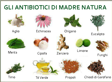 Antibiotici naturali