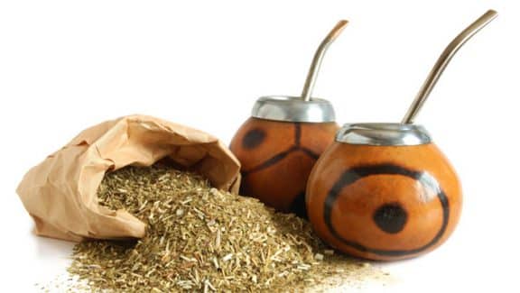 yerba mate cancro