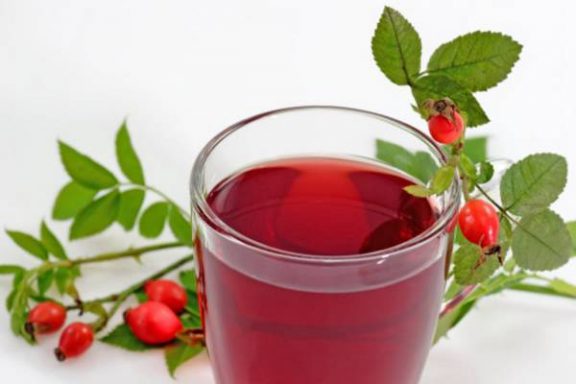 Rosa canina proprietà, benefici e controindicazioni di bacche e tisane di rosa canina