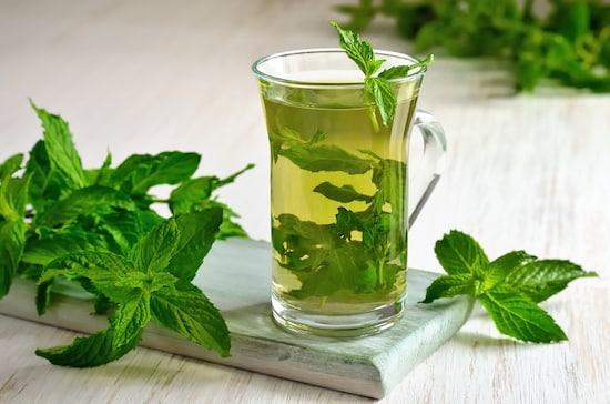 Tisana alla menta