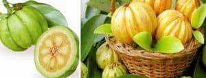 Garcinia cambogia effetti collaterali