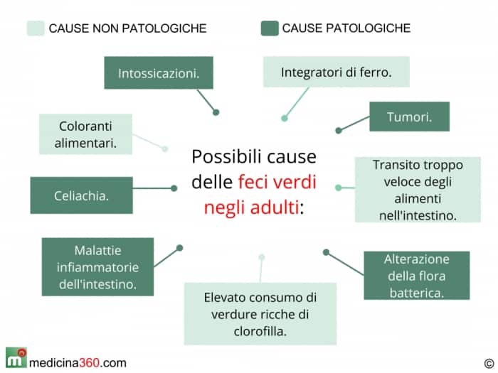 cacca-verde-adulti