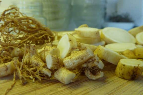 Controindicazioni del ginseng
