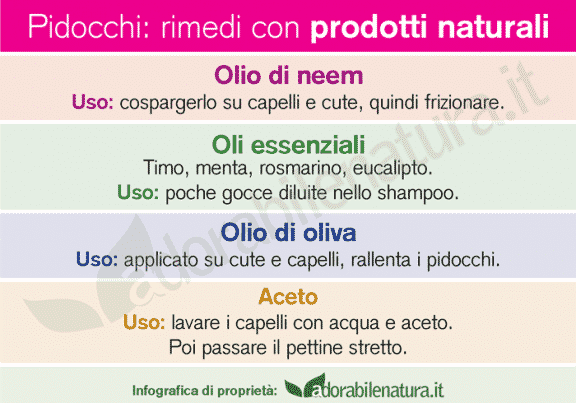 Pidocchi rimedi