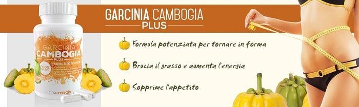 garcinia cambogia