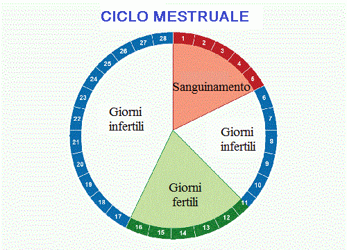 Ciclo mestruale