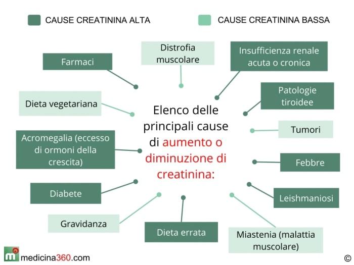 Creatinina bassa