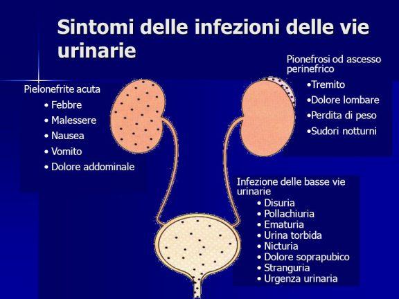 Infezioni delle vie urinarie
