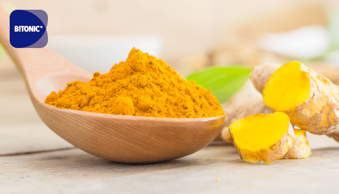 zenzero e curcuma