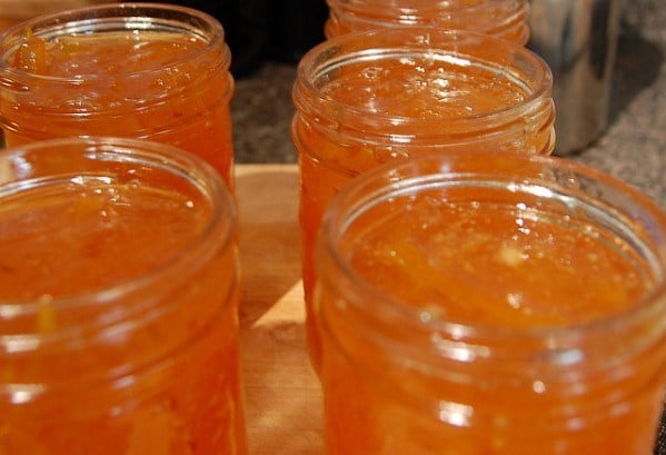 Marmellata di arance Bimby