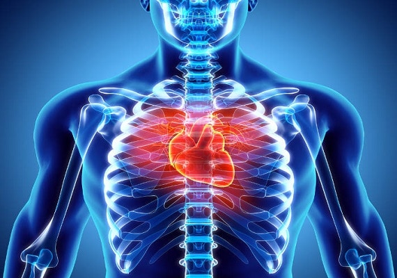 integratori per il cuore