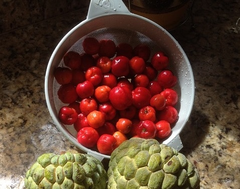 Acerola Vitamina c