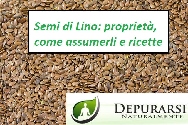 semi di lino proprietà e controindicazioni